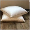 Lot De 2 Oreillers FJORD MICRODUV 100% Fibres Microduv® -Literie Magasin lot de 2 oreillers fjord microduv